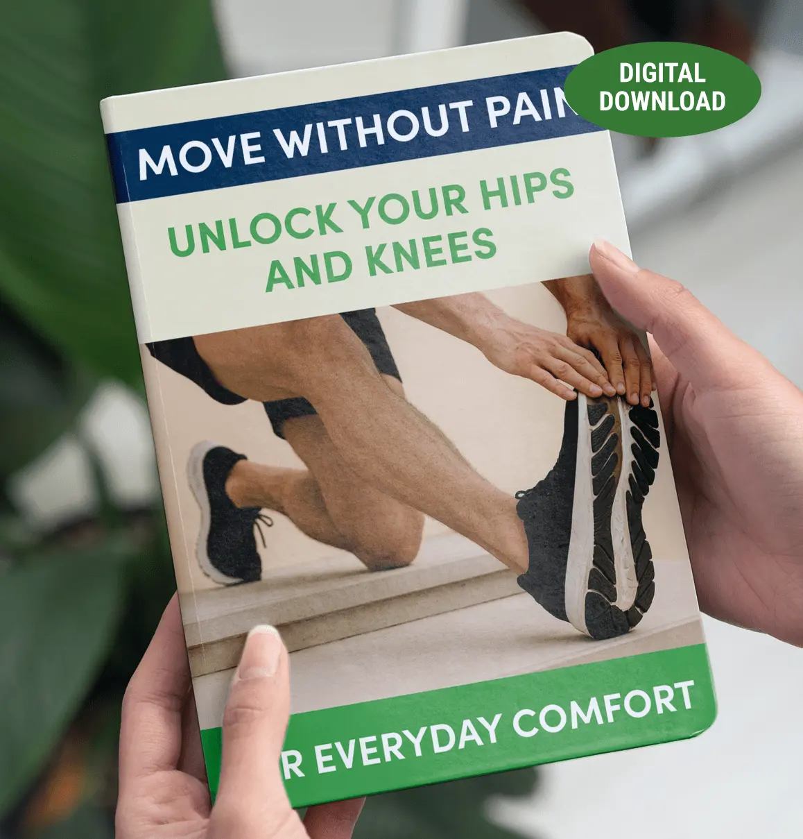Move Without Pain bonus guide cover